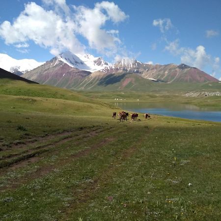 מלון Kara-Kavak Pamir Nomad Yurt Camp מראה חיצוני תמונה