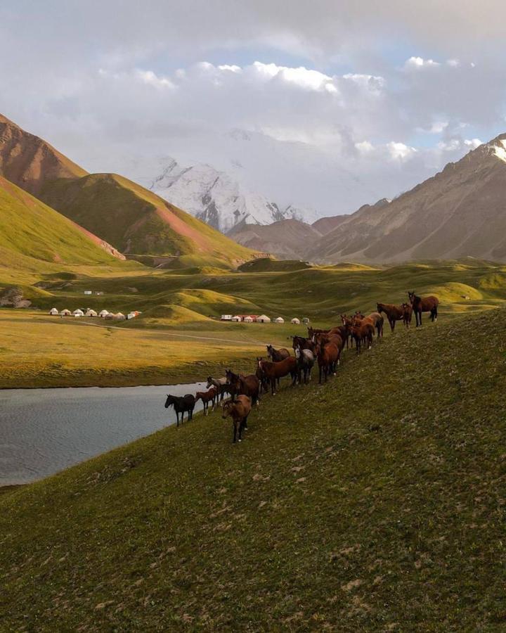 מלון Kara-Kavak Pamir Nomad Yurt Camp מראה חיצוני תמונה