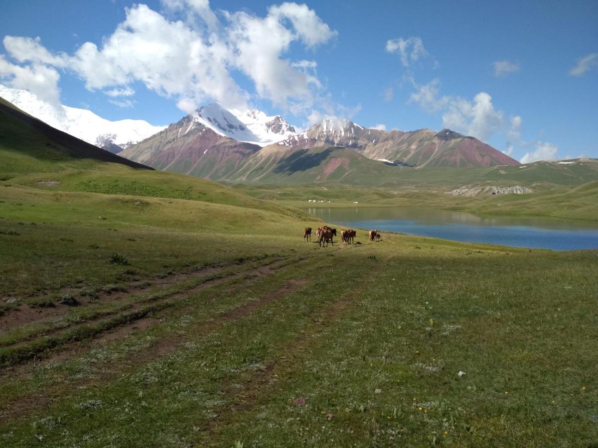 מלון Kara-Kavak Pamir Nomad Yurt Camp מראה חיצוני תמונה